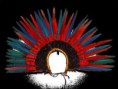 /album/imagens-arte-plumaria-/arte-plumaria-jpg/